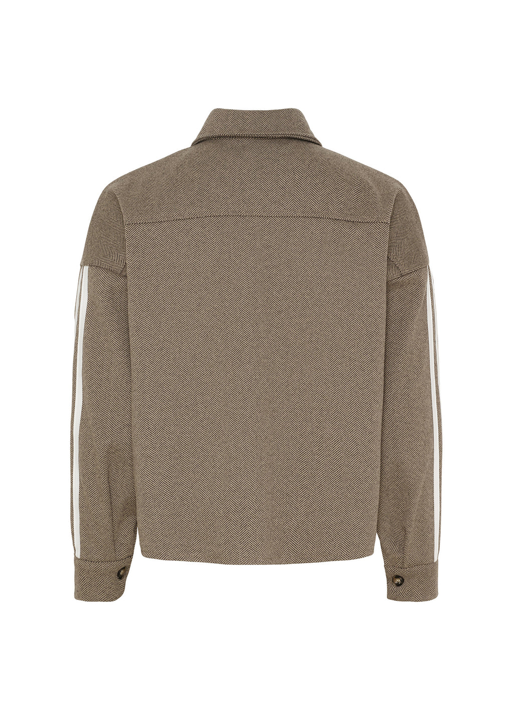 Mdcavalon Shirt : Brown4