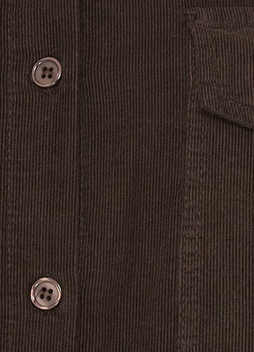 Mdcbirdie Shirt : Moro635