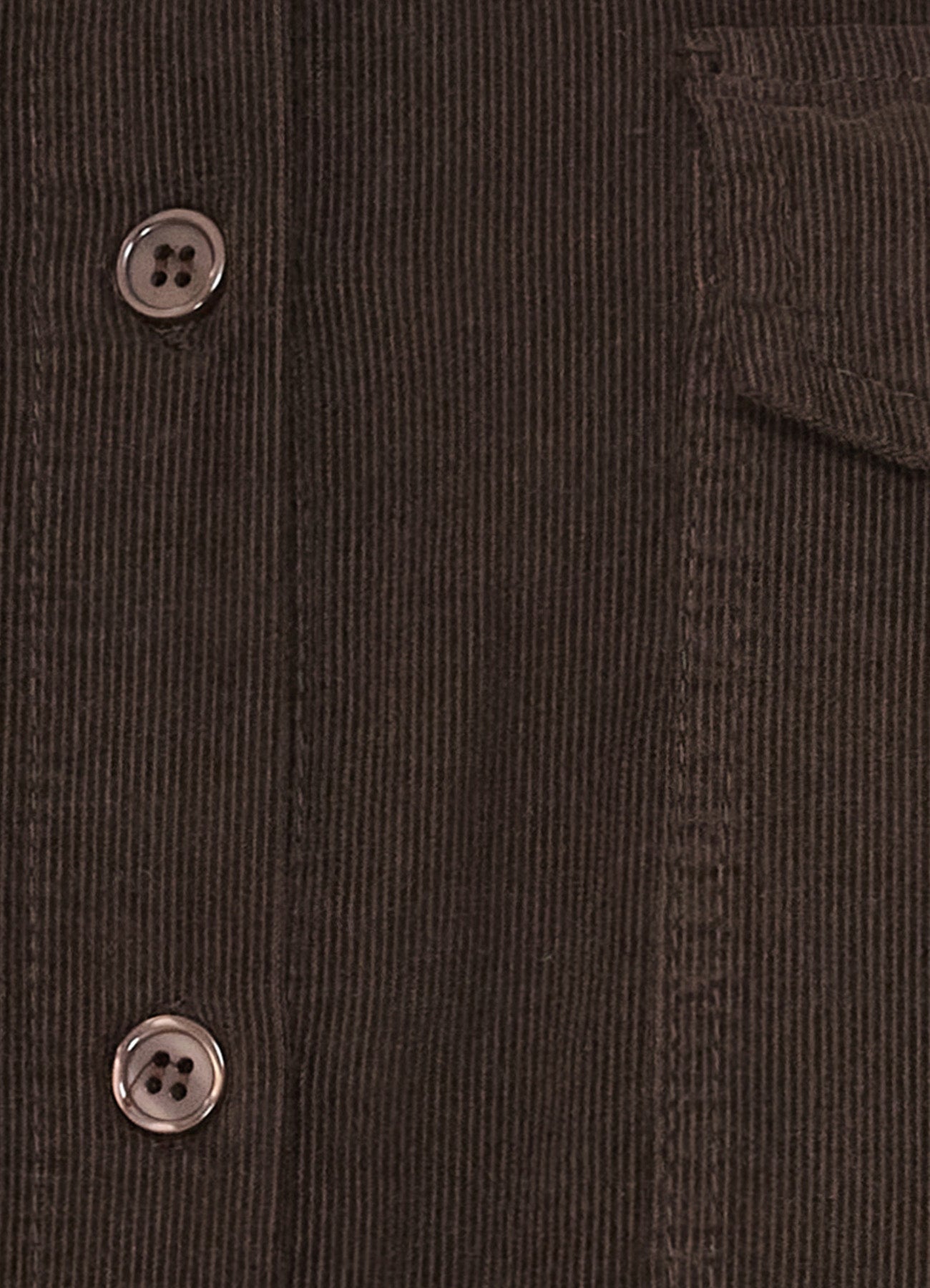 Mdcbirdie Shirt : Moro635