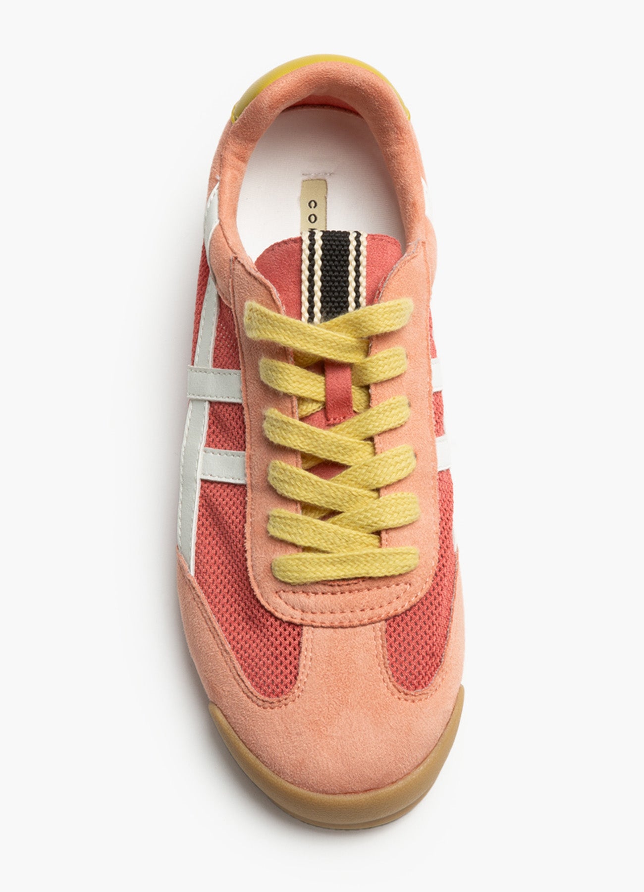 Sneakers : Pink/Lime