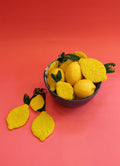 Regular Lemon : Lemon