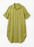 Shirt : Lizard