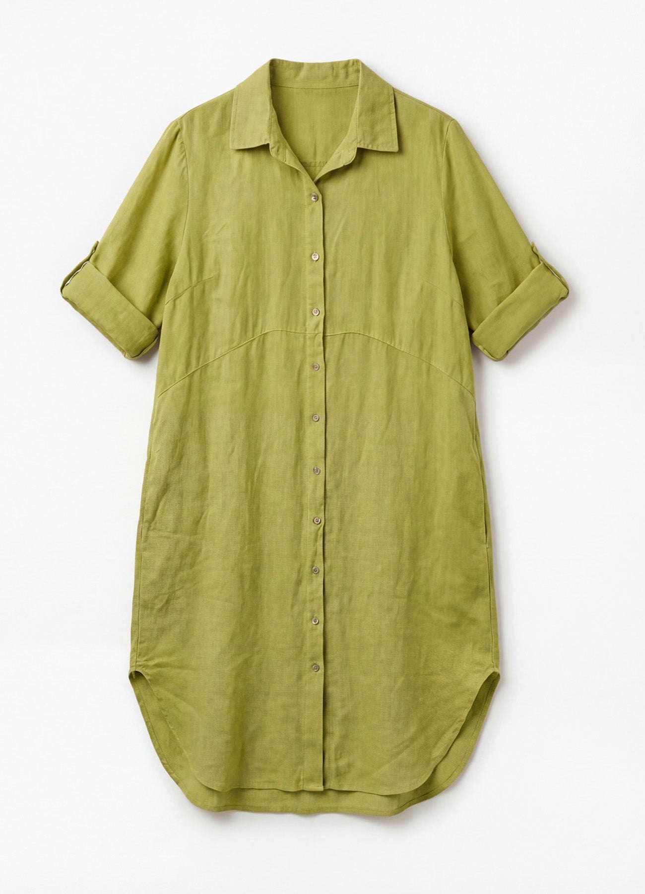 Shirt : Lizard