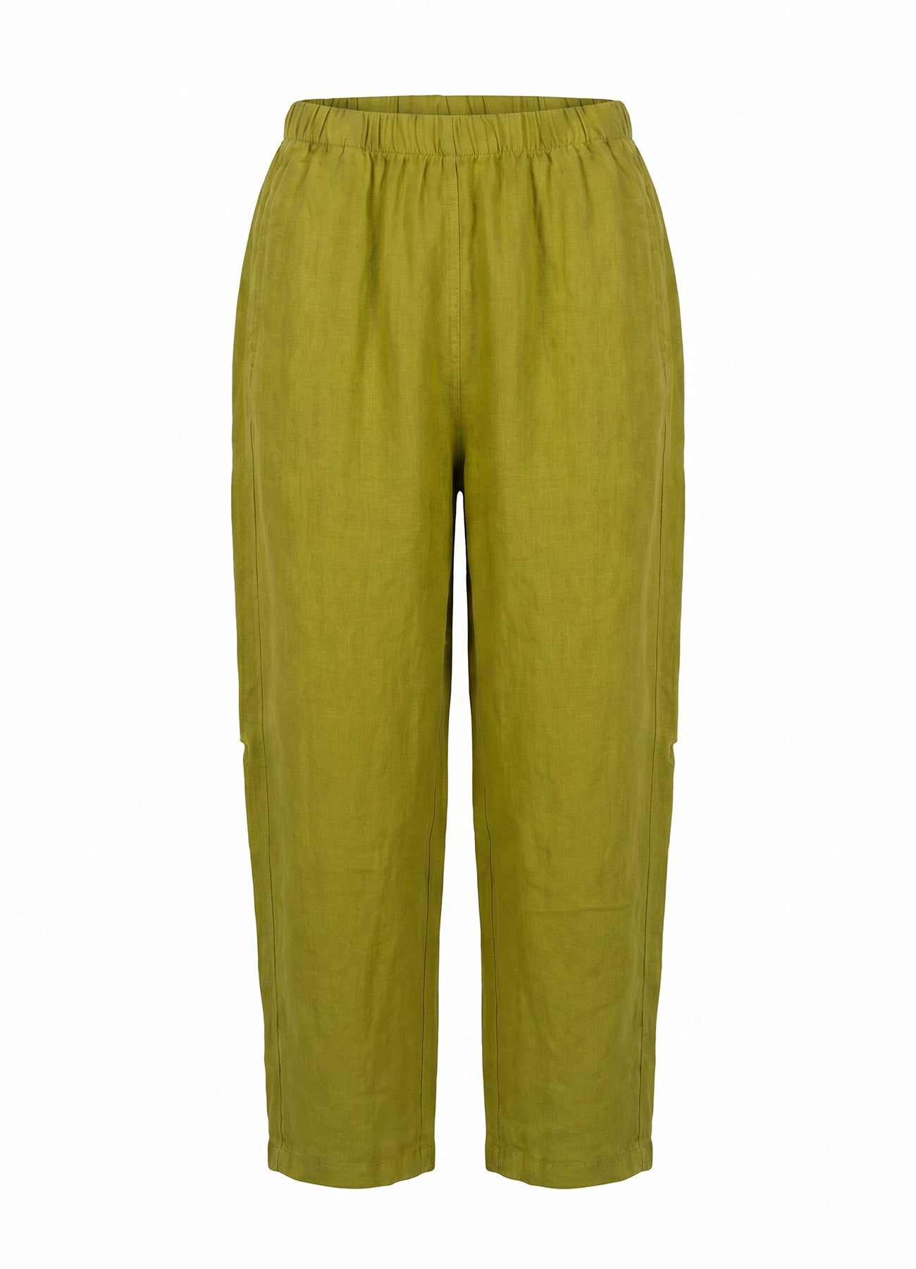 Pant : Lizard