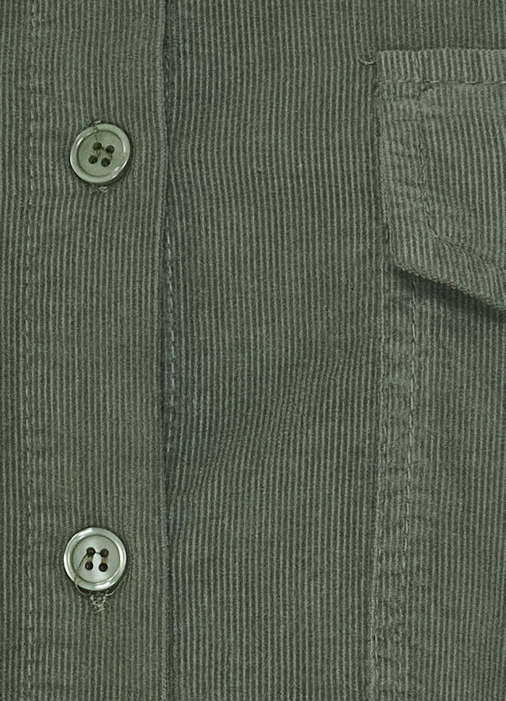 Mdcbirdie Shirt : Kaki176