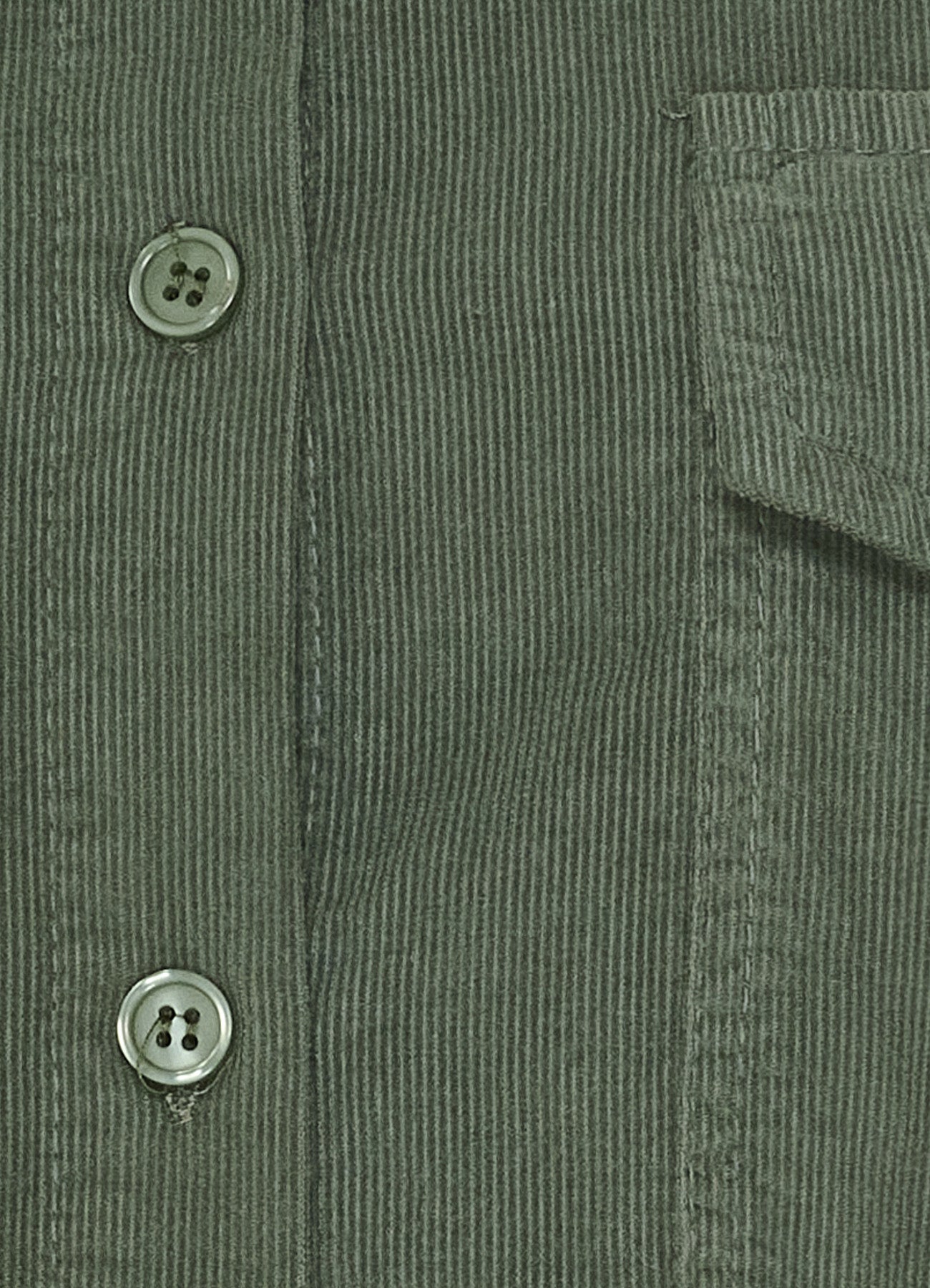 Mdcbirdie Shirt : Kaki176