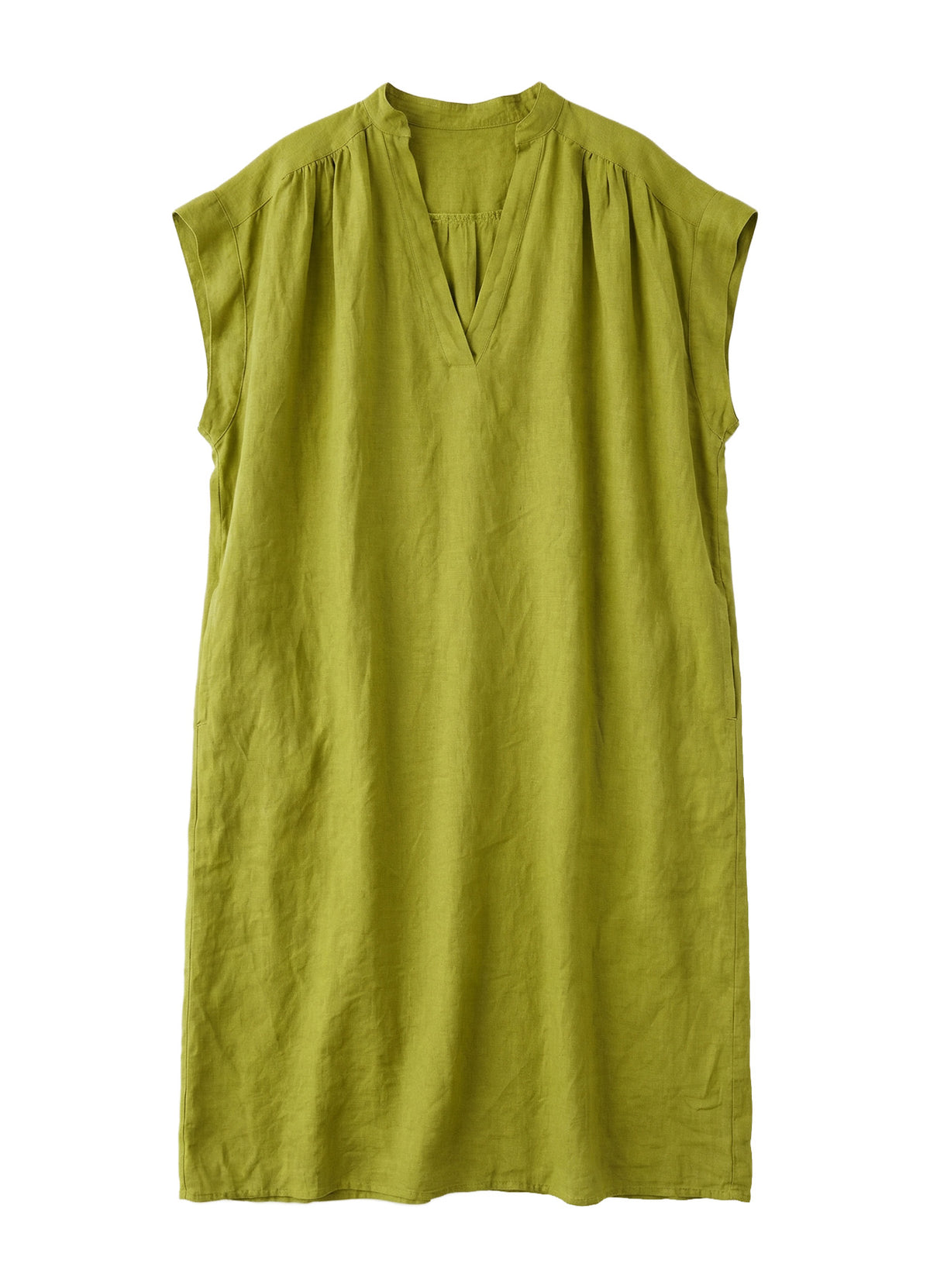 Dress : Lizard